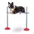 SALTO DE 1 M PARA AGILITY - comprar online