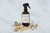 HOME SPRAY PREMIUM FLORES BLANCAS 250 cc. en internet