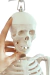 Modelo Anatômico de Esqueleto Humano Completo Flexível Branco 85cm c/ suporte - iDokters - comprar online