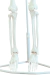 Modelo Anatômico de Esqueleto Humano Completo Flexível Branco 85cm c/ suporte - iDokters - loja online