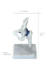 Imagem do Modelo Anatômico de Articulação do Quadril branco em miniatura c/ base - iDokters