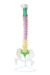 Modelo Anatômico de Coluna Vertebral Humana Flexível Didática Tamanho Real com Pélvis e Cabeças de Fêmur - iDokters - comprar online