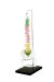 Modelo Anatômico de Coluna Vertebral Humana Flexível Didática 45 cm com Base (Suspensa) - iDokters - loja online
