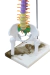 Modelo Anatômico de Coluna Vertebral Humana Flexível Didática 45 cm com Base (Suspensa) - iDokters
