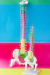 Modelo Anatômico de Coluna Vertebral Humana Flexível Didática 45 cm com Base (Suspensa) - iDokters - loja online