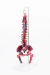 Modelo Anatômico de Coluna Vertebral Humana Flexível Colorida 45 cm com Base (Suspensa) - iDokters - iDokters 