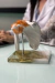 Modelo Anatômico da Articulação do Ombro Branco Tamanho Real com Base - iDokters na internet
