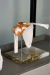 Modelo Anatômico da Articulação do Ombro Branco Tamanho Real com Base - iDokters - iDokters 