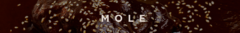 Banner de la categoría Mole 
