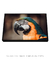 Arara perfil na internet