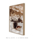 Cavalo Ushuaia - comprar online