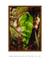 Verde Amazônia - comprar online