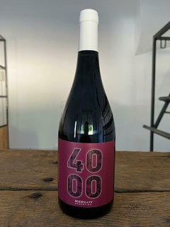 4000 RESERVA - MERLOT - comprar online