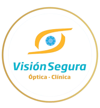 Visión Segura