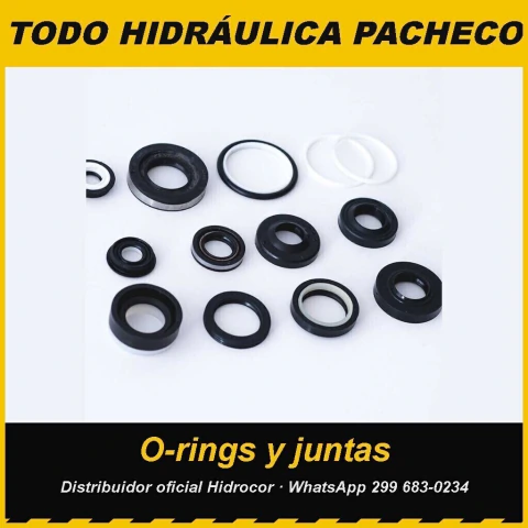 Oring de Viton – 2-216V