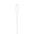 Cabo Original Apple USB-C para Apple Watch (1m) - UAITECH