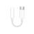 Adaptador Original Apple Usb-C para P2