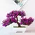 Mini Árvore Bonsai - Árvore Artificial para Decoração