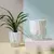 Vaso de irrigação automática com design moderno - comprar online