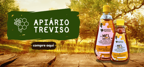 Carrossel 1