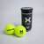 PACOTE 3 TUBOS DE BOLAS PARA PADEL X-TRUST - American Sports