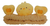 Vinchas Cute Animales Tiernos Skincare Toyz - Toyz company