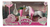 Pinky Girl S Horse Doll Caballo Rosa Accesorios Toyz - Toyz company