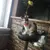 Bonito impresso bandana coleira de gato filhote de cachorro cão gato cachecol c