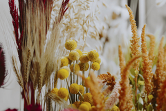 Banner da categoria Monte o Seu Arranjo (Flores e acessórios vendidos individualmente)