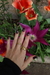 Anillo 0°2 en internet