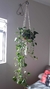 Suporte para vaso de plantas em Macramê - comprar online