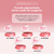 Blush Powder Cores 100 a 104 - Max Love - loja online