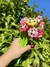 Caneta Fofa Flor Panda com design encantador de flor e panda, esta caneta flexível é ideal para tornar suas anotações mais divertidas e leves.
