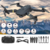 DRON 998 PRO MAX 4K - tienda online