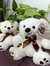 Osito de Peluche x 30 cm - Mapache Home & Deco