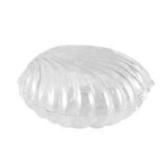 Conchas - 10 unidades - comprar online