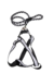 Pretal+correa reforzados talle 1 al 5 - India Pets Store