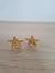 Aros Estrellas Baño de Oro en internet