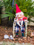 Gnominho Contador de Histórias - comprar online