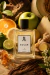 Solar - Perfume compartilhável (Xerjoff Erba Gold) - loja online