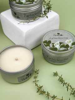 Vela Zantedeschia - 90g na internet