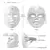 Máscara Facial LED Terapia de Fótons - Rejuvenescimento Facial - loja online