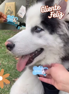 🐾 A Bjorn le encantó su plaquita personalizada. Se ve hermoso y nosotros felices con cada detalle. ¡Gracias Garabato por tanto amor en lo que hacen! — Familia de Bjorn 💙