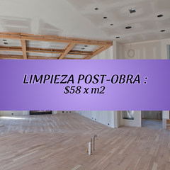 Apartado Limpieza Post-Obra - comprar en línea