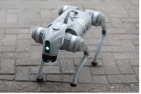 Cachorro Robô Quadrúpede Unitree Go2 Pro Original Br