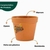 vaso de plastico decoracão suculenta 8x7 - Sol Girassol