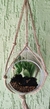 TERRARIO EM ACRILICO COM COM MACRAME - comprar online