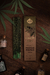 Cannabis - comprar online
