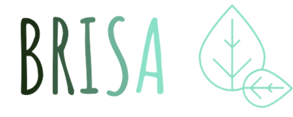 Brisa