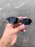 Juliet - X-Metal Lentes Black